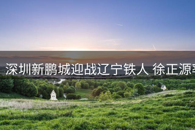 深圳新鹏城迎战辽宁铁人 徐正源率队力求主场复仇